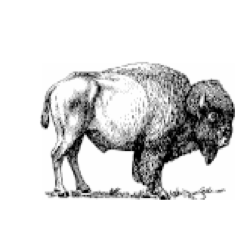 bflosmallpress's profile picture. The Buffalo Small Press Book Fair is a 2-day event for booksellers, authors, bookmakers, zinesters, comics, small presses, artists, & poets. April 9 & 10, 2016.