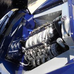 arcanin12345678's profile picture. 