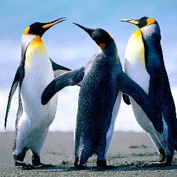 roberto2374's profile picture. 