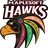 MaplesoftHawks1's profile image