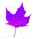Newcomer Women's Services Toronto