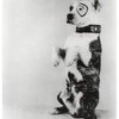 stopdominic's profile picture. 