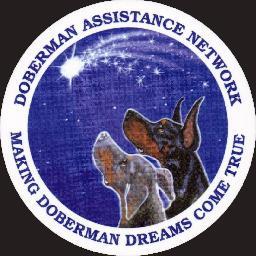 We save those Dobermans in urgent need of rescue by pulling, vetting, transporting, fostering and placing them into an approved, reputable rescue group.