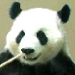 BarrieBF's profile picture. 