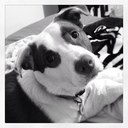 Casey Galloway - @galloway_casey - Twitter