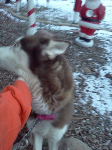 JamiPeterss's profile picture. being in a relationship is awesome and it had its sad side because you cant see them 24/7