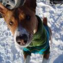 Christie Parkinson - @ChristiParkAxni - Twitter