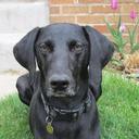 Amandalee McPherson - @AL_MACK7 - Twitter