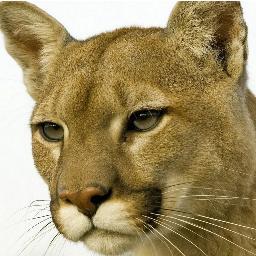 robertofabians1's profile picture. Nací en Choele Choel.Mas del 90 % de mi infancia viví en Luis Beltran, a 12 km de Choele Choel.
Hincha del Xeneize, simpatizante de Gimn. y Esgr. La Plata.