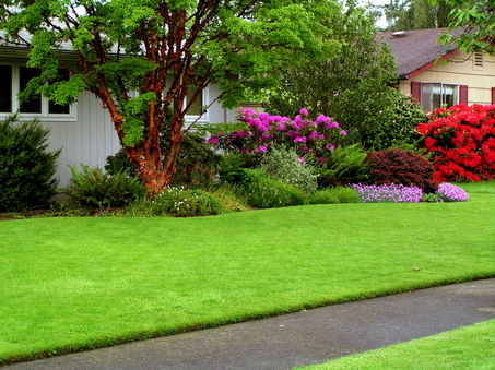 How you can now have almost a paradise
 in your property quickly and easily
 in one hour or less time …?
(602)328-6187