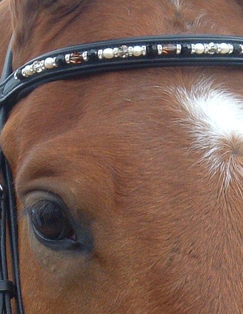 Custom made Browbands for the distinguished rider.  Matching Stockpins belts and bracelets!  Fancy, jewelry quality browbands for your equine companion.