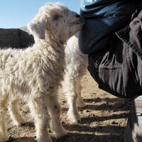 Atsushi (@atsushinakano) Twitter profile photo