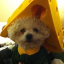 kathleen conway - @kathleenconway6 - Twitter