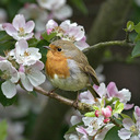 Robin Ritchey - @rritchey69 - Twitter