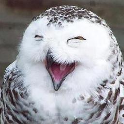 Laughing adds 1 day to your life. 
Follow me & you'll live forever ;)