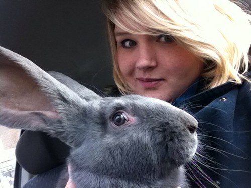 lincolnshire lass living life out in the country