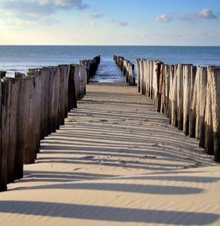 MP1MP11's profile picture. Life is full of mountains and valleys...how you overcome them is what makes you who you are.