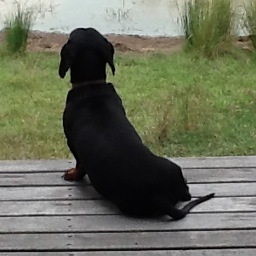 AliceTheAuthor's profile picture. Author of ''The Lore of Whisky' and 'The Magic of Tea', wife, mother, editor, reader, traveller and romantic.