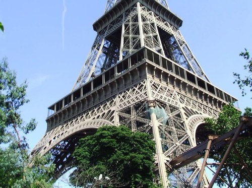 staceycgarland's profile picture. 