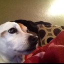 Connie Sanchez - @ConnieLou007 - Twitter