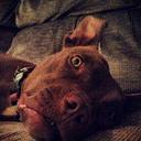 grant lax - @LaxGrant - Twitter