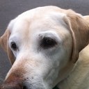 Scott Ballantyne - @baydel - Twitter