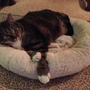 Eileen McCarroll - @EileenPMc - Twitter