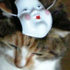 🐰爺73歳(頚椎損傷、脊髄損傷)要介護4、障害等級1級(下肢不随、腕は動くが指は🙅♀️立位不可、♿️移乗介助必須)🎈カテーテル装着、軽度糖尿病で食事制限有、11年目の老々介護/介護の合間を見つけては、旅行、食べ歩き、御朱印集めetc…色々、楽しみ見けたい🙏/🍱は娘に/🙊婆93歳、老健入所、要介護2/メダカ