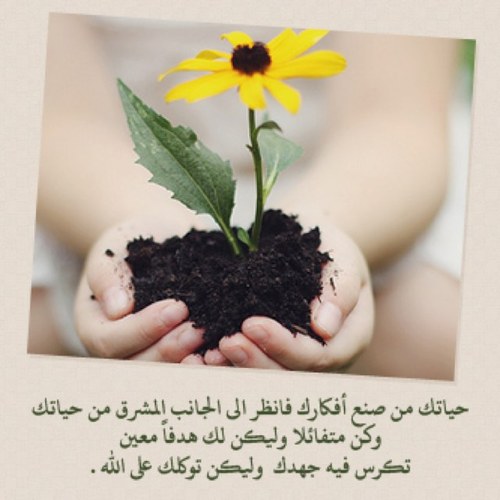 رَّبِّ أَدْخِلْنِي مُدْخَلَ صِدْقٍ وَأَخْرِجْنِي مُخْرَجَ صِدْقٍ وَاجْعَل لِّي مِن لَّدُنكَ سُلْطَانًا نَّصِيرًا