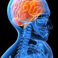 UT Neurology (@utneurology) 's Twitter Profile