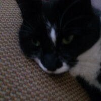 Kathleen Casavant (@katcasavant) 's Twitter Profile