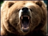 NYSE, daytrader,  фондовая биржа, акции, trader, stocks, market