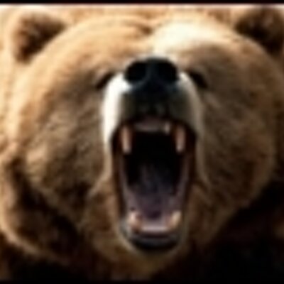 good_trades's profile image