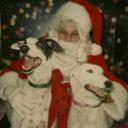 Allan Cornell - @houndwhisperer - Twitter