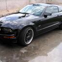 maya harvey - @maya240 - Twitter