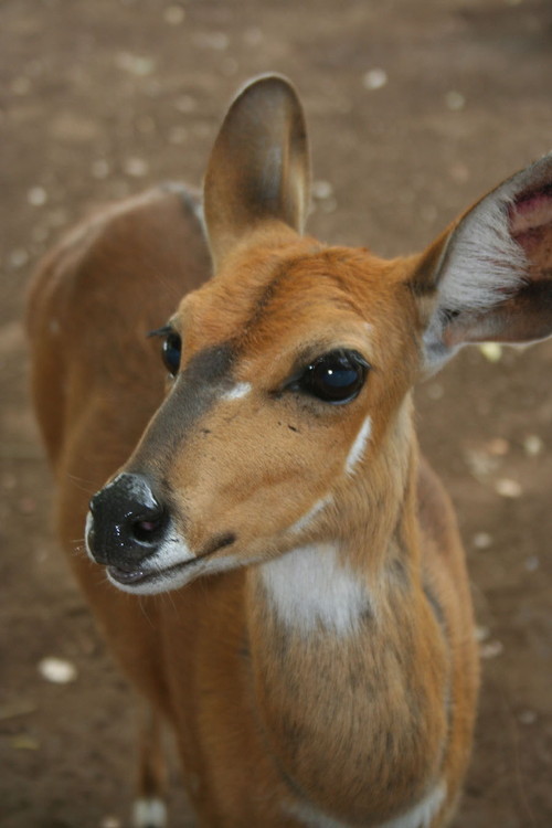 charlottechill's profile picture. Fan, geek, married+. Perpetually behind on recs, shows, work, writing, exercise, and con prep. EscapadeCon co-chair.