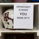 Mark Teed - @Mark_Teed - Twitter