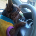 Jorge Rafael Cabrera - @JRCBULEJE - Twitter