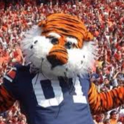 somuchtosay80's profile picture. 