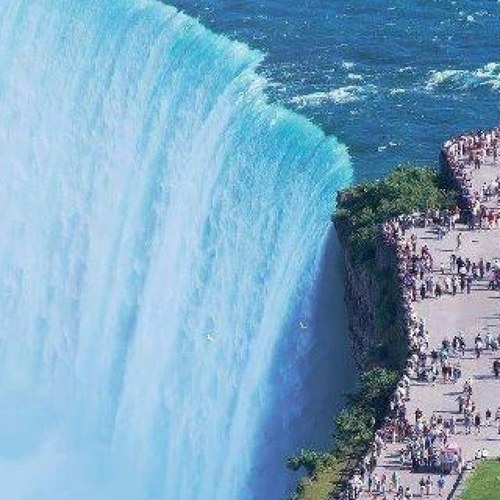 BusAmr123's profile picture. BUS123