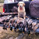 Barry Snider - @Barry_Wayne13 - Twitter