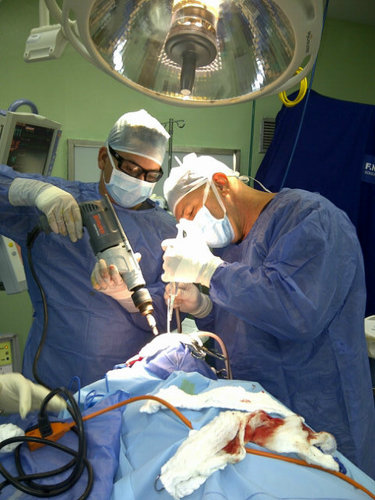Neurocirujano
Médico cirujano UNERG
Deportista 
integrante Montero Extremo