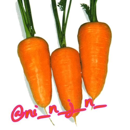 僕はにんじんマンなんだ！！1時間ごとに僕が思ってることを呟くぞ！！たまにリプライを送ることもあるからどの言葉に反応するか試してみるのもいいかもにん！！たまに中の人が出てくるかもにんにん！