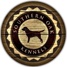 Breeding, importing, and training the best retrievers in the business.