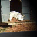 Nathaniel kendall - @nkendall2 - Twitter