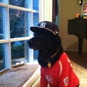 Josh Jaffe - @J_Jaffe35 - Twitter