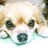 LeeNeのTwitterプロフィール画像