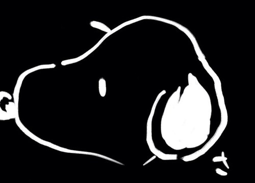 whiteplan3's profile picture. 好きなもの:フジロック、キャンプ、映画、サウナ、ビール、読書。大腿骨頭壊死という病気と闘ってます。なんのその！