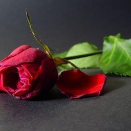 أعششقَ المزاجيهہُ ﯙ ﺎالخخروجَ  ععنْ قاانون اﻟجميع