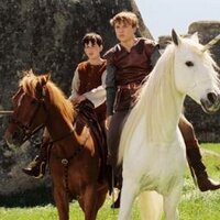 Peter Pevensie♕ (@peter_narniaid) 's Twitter Profile